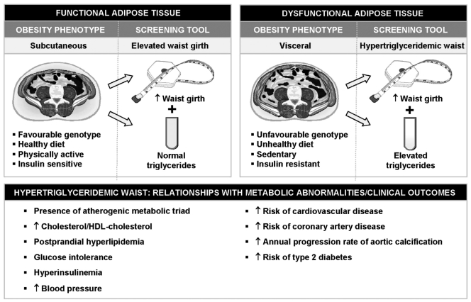 Figure 2)