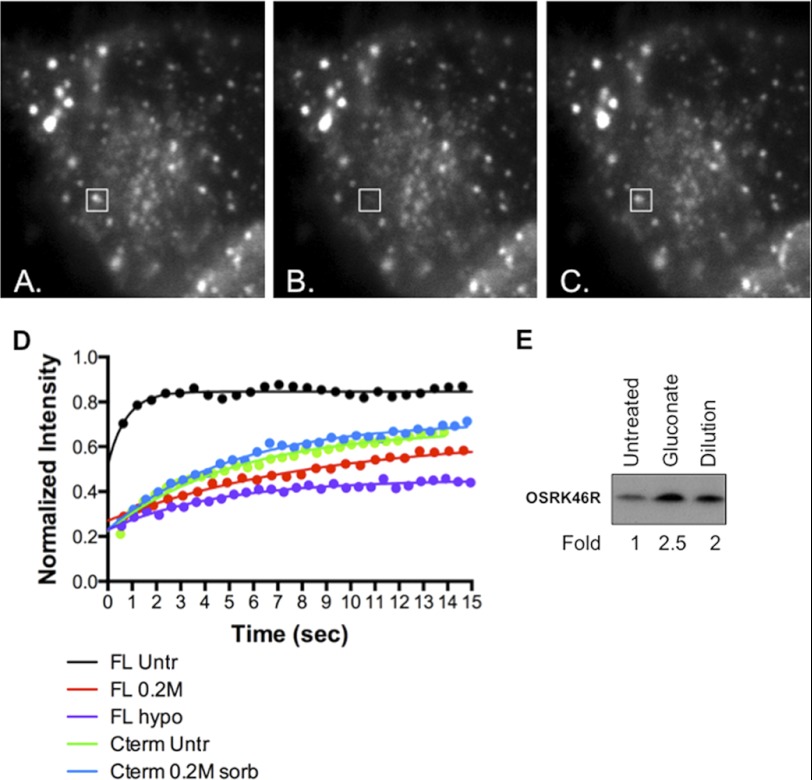 FIGURE 2.