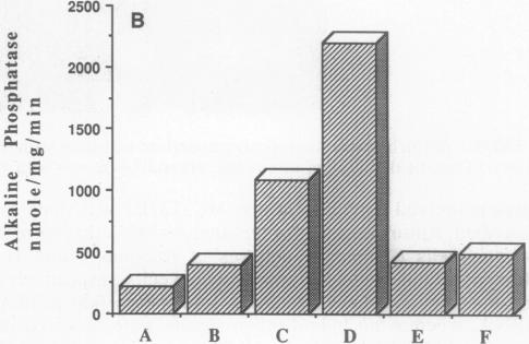 graphic file with name pnas01059-0208-c.jpg