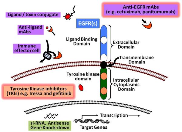 Fig. (4)