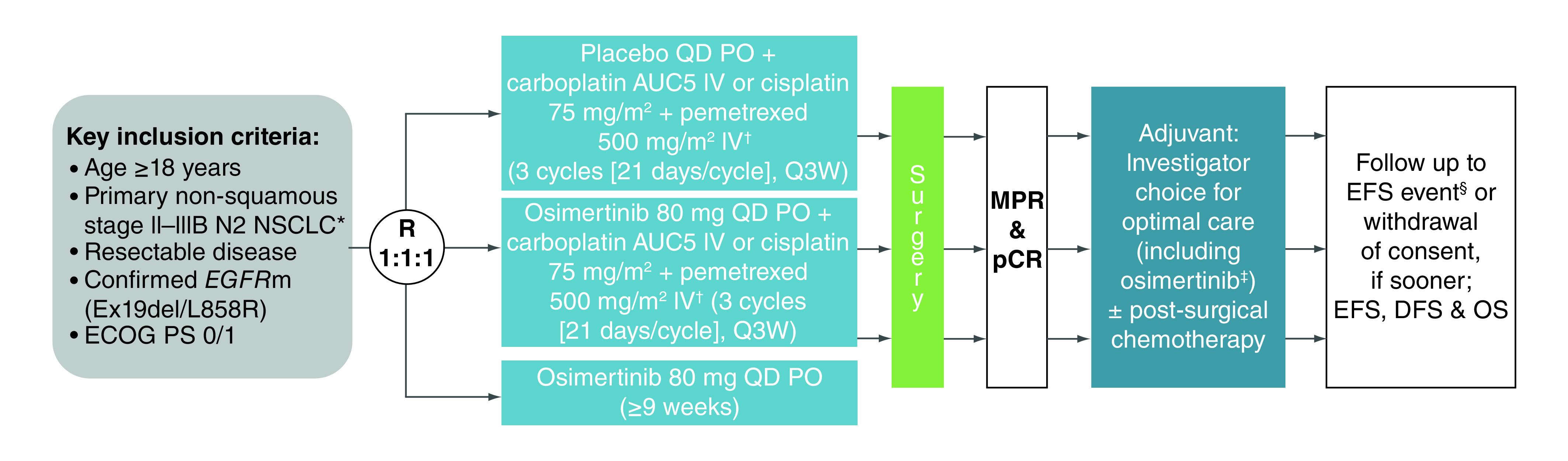 Figure 1. 