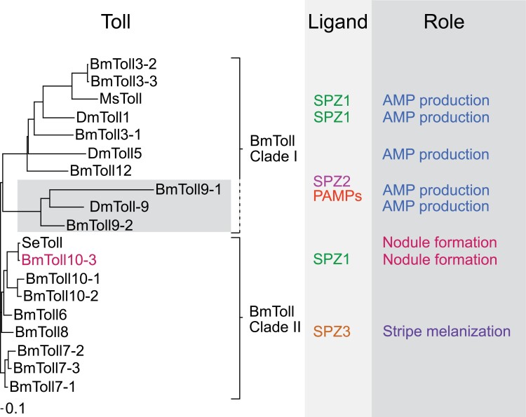 Fig. 3.