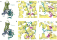 Figure 7