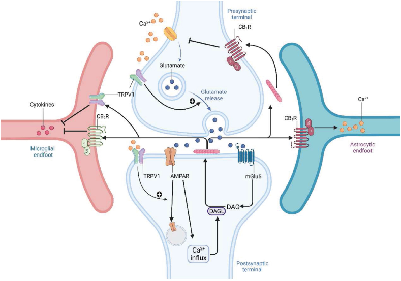 Figure 6