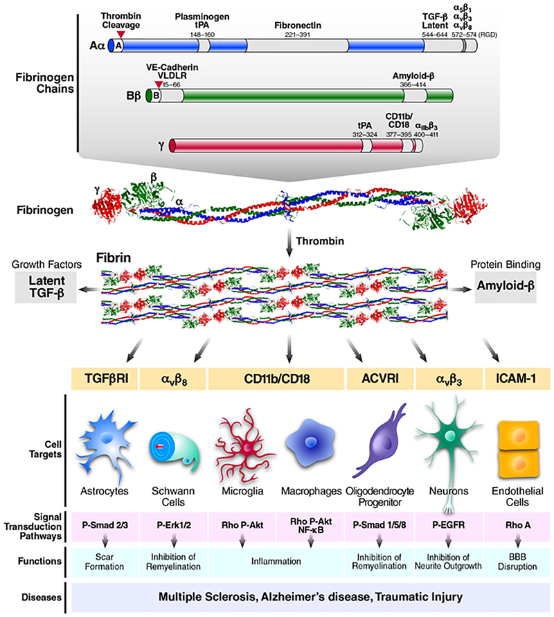 Figure 2 |