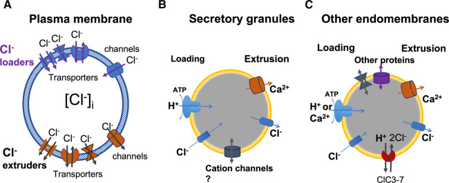 Figure 1.