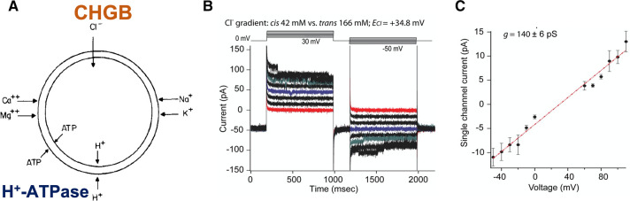 Figure 2.