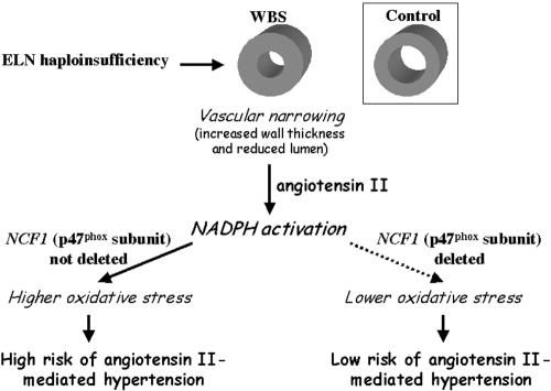 Figure  5