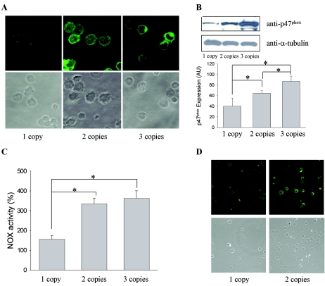 Figure  4