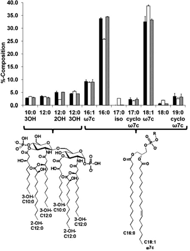 FIG 1