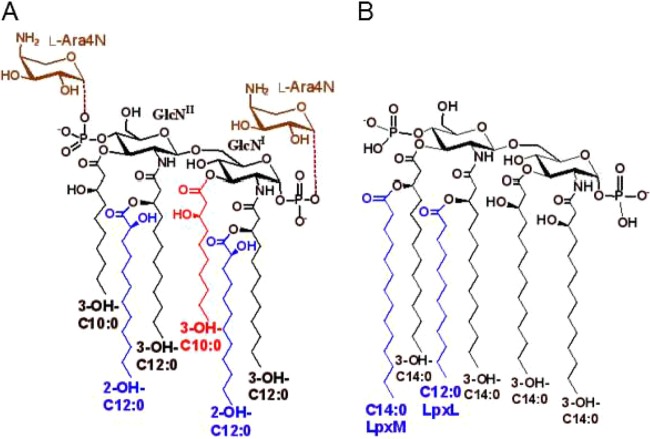 FIG 3