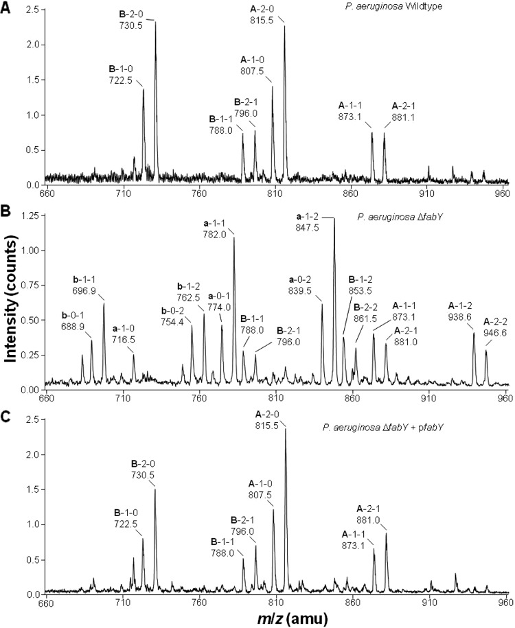 FIG 4