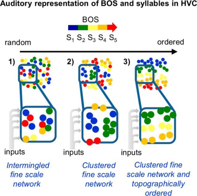 Figure 13.