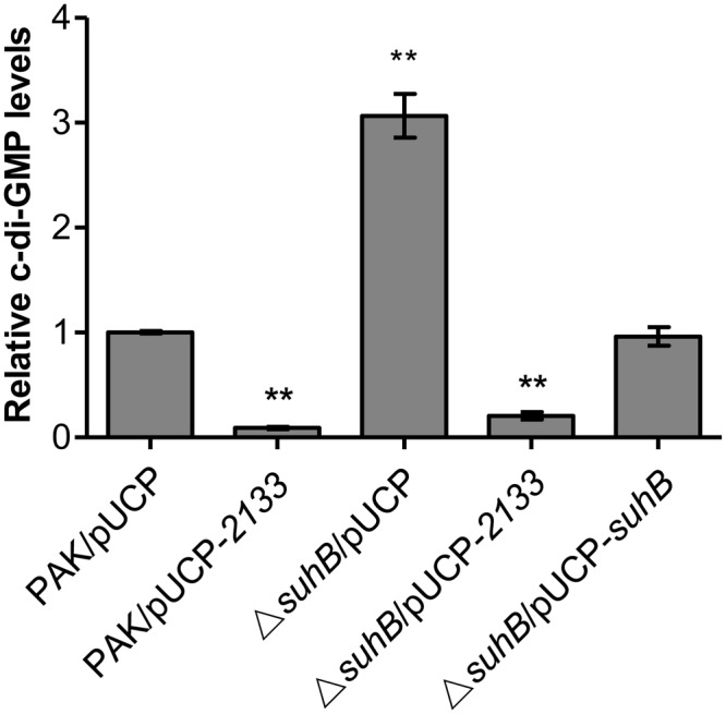 FIGURE 3