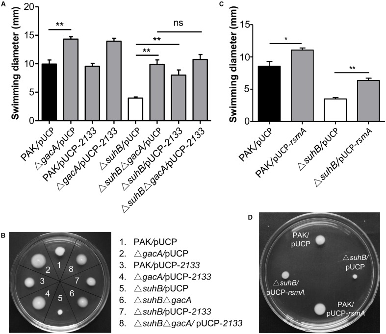 FIGURE 2