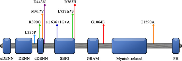 Fig. 3
