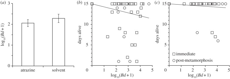 Figure 3.