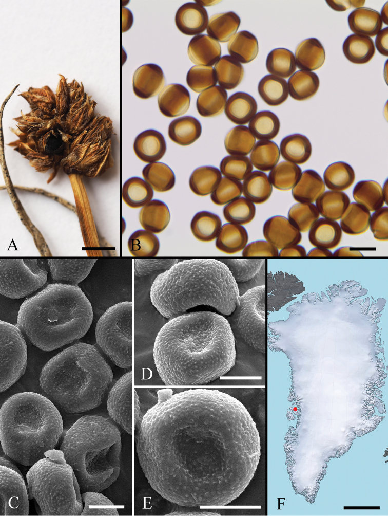 Figure 30.