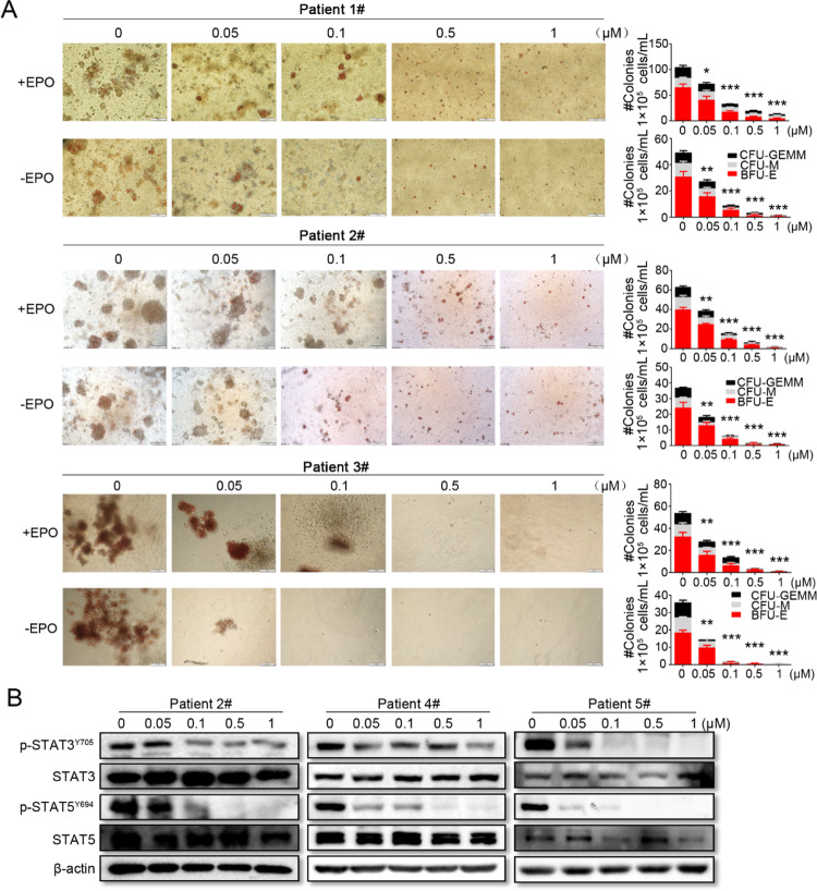 graphic file with name 41408_2024_1058_Figb_HTML.jpg