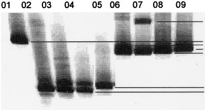 FIG. 6.