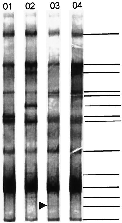 FIG. 8.