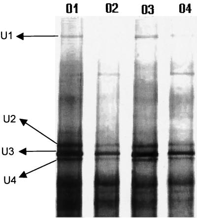 FIG. 7.