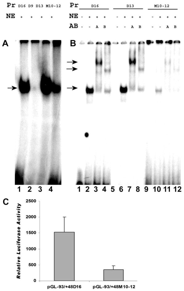 Fig. 5