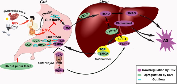 FIG 10 