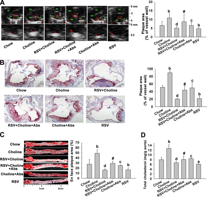 FIG 6 