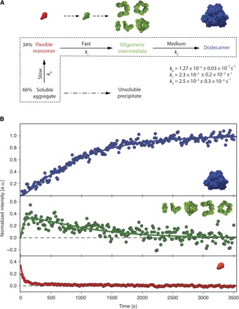 Fig. 4