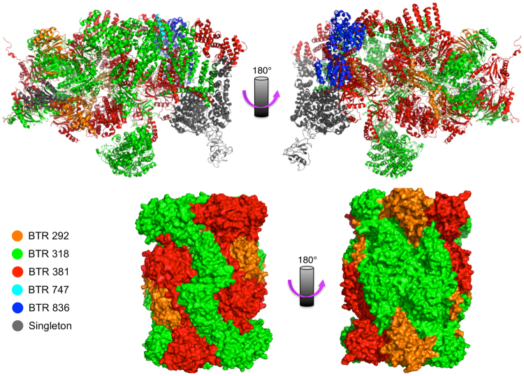 Figure 5