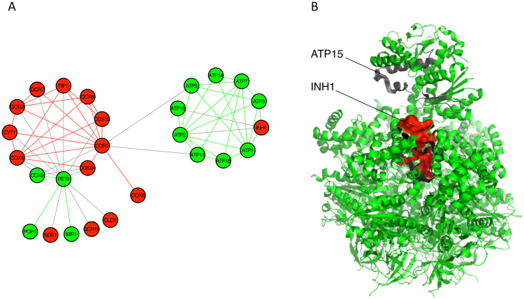 Figure 7