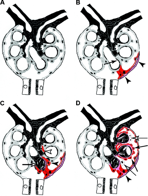 Figure 9.