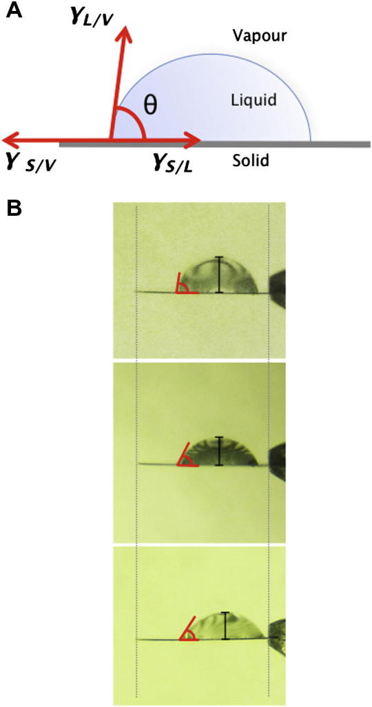 Fig.2