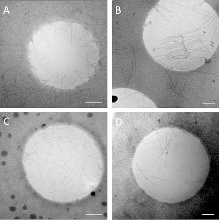 Fig.1