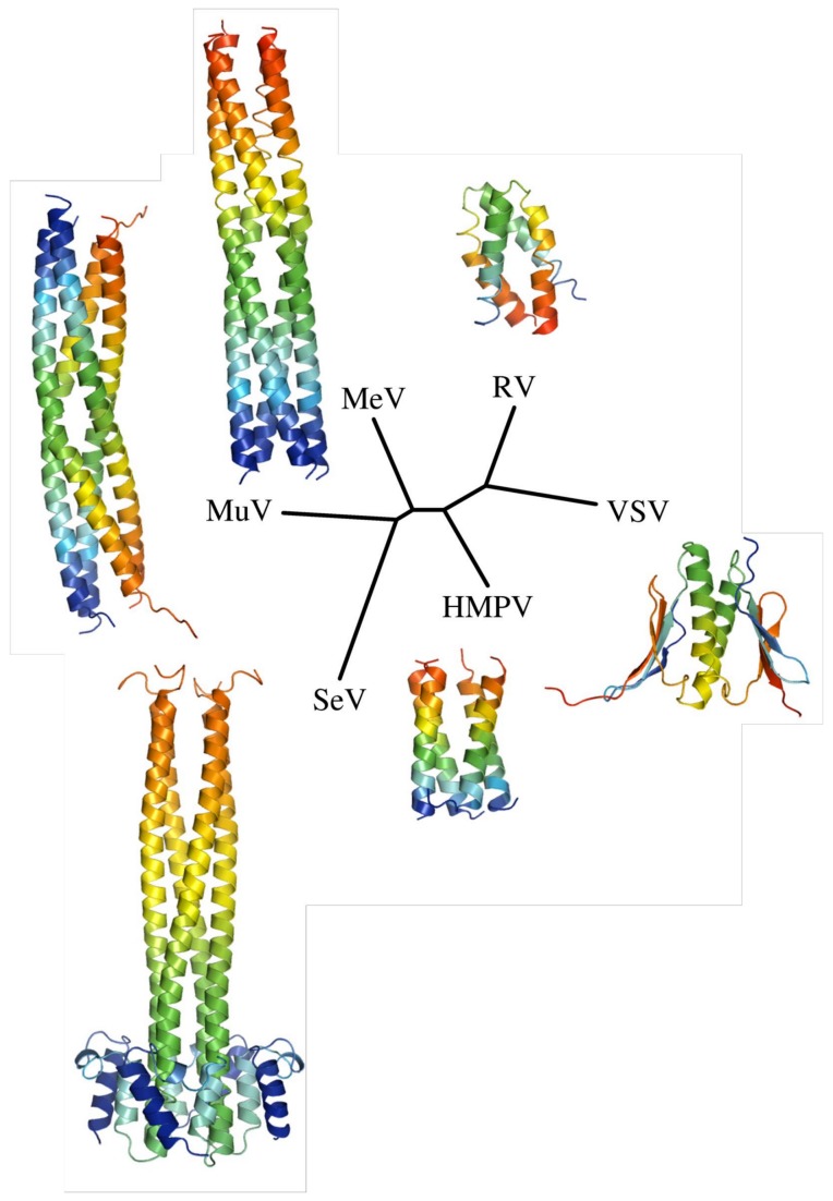 Figure 9