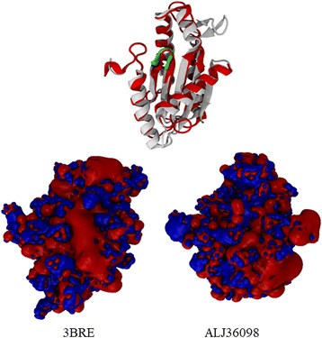 Fig. 3