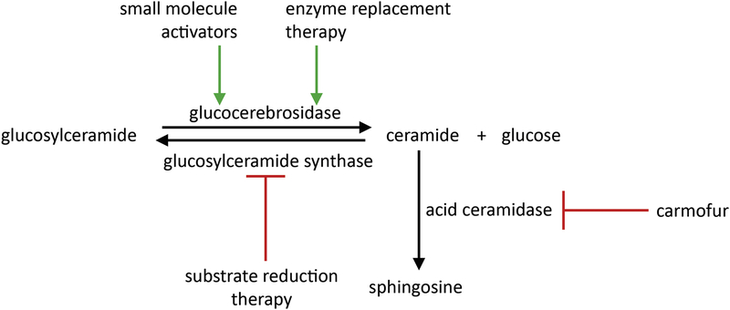 Figure 2: