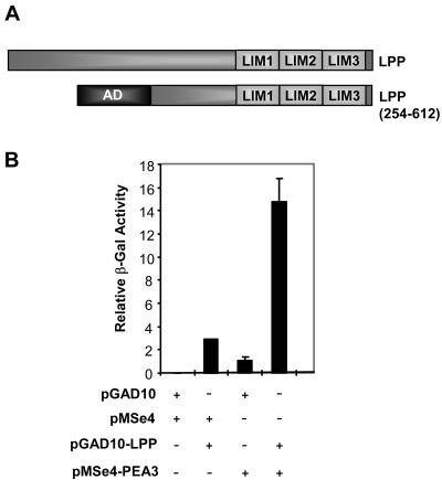 FIG. 1.