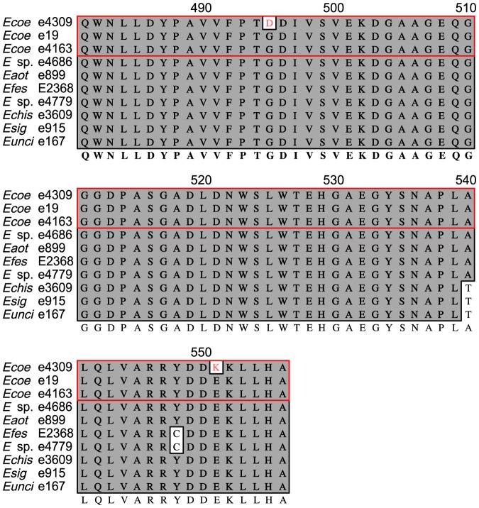 Figure 5