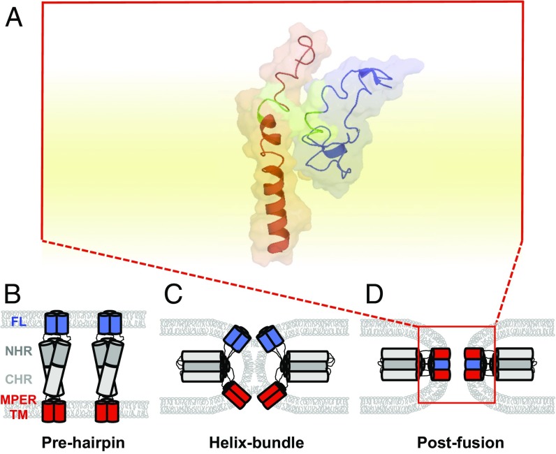 Fig. 6.