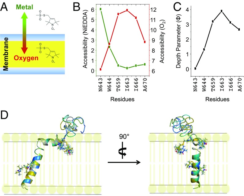 Fig. 3.