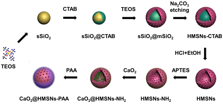 Scheme 2