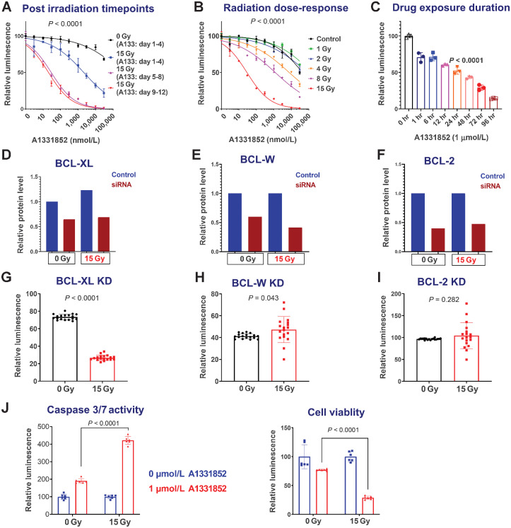 Figure 3. GBM vulnerability to BCL-XL inhibition depends on postirradiation timepoint, radiation dose, and duration of inhibitor exposure. A, Sensitivity to BCL-XL inhibition at 4 (blue), 8 (purple), and 12 (red) days after 15 Gy radiation. All cohorts were exposed to drugs for the same amount of time (4 days) and were analyzed on the fifth day after plating. Very similar results were obtained with the alternative BCL-XL inhibitor A1155463, and after induction of senescence with TMZ—see Supplementary Fig. S4. B, Impact of prior radiation dose on BCL-XL inhibitor sensitivity: A1331852 treatment was initiated 4 days following various doses of radiation. C, Duration of drug exposure impacts GBM39 vulnerability to A1331852, applied 7 days after radiation for 1 to 96 hours with equal total culture duration prior to analysis. Luminescence values are normalized individually by 0 nmol/L control. Graphs show means ± SD of technical replicates at each concentration. D–I, Radiated GBM cells are selectively vulnerable to BCL-XL knockdown. BCL-XL, BCL-W, and BCL-2 were knocked down via siRNA in GBM39, 7 days after 0 Gy, or 15 Gy radiation (D–F). Quantified data from western blots are normalized to GAPDH. Control cells were transfected with a scrambled construct. Images for the Western blots used for quantification in A are provided in Supplementary Fig. S6. CellTiter-Glo analysis was performed to evaluate relative survival after knockdown with siRNA constructs against BCL-XL, BCL-W, and BCL-2 (G–I). Relative luminescence for knockdowns is shown in the 0 and 15 Gy groups, normalized to control (scrambled) knockdowns. Error bars show SD. J, Representative data demonstrating elevated caspase 3/7 activity 24 hours A1331852 exposure, quantified using Caspase-Glo assay. Experiment performed 7 days after 0 or 15 Gy radiation. Cells from the same experiment were analyzed for viability after 4 days of A1331852 exposure using CellTiter-Glo. Error bars = SD.