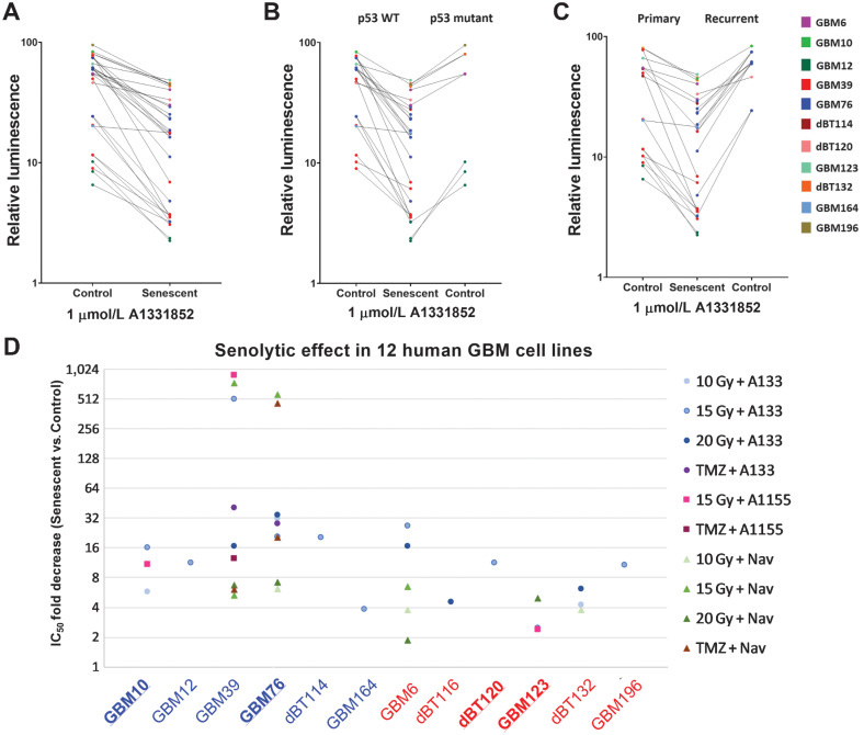 Figure 5. Senescent GBM is selectively vulnerable to BCL-XL inhibitors. A, Relative survival of senescent and proliferating all GBM cell lines tested with 1 µmol/L A1331852 treatment. B, Comparison of selective vulnerability of p53 WT and mutant senescent glioma to BCL-XL inhibition. C, Demonstrating senolytic effect of A1331852 across the primary and recurrent gliomas with or without chemoradiation. D, Data shown summarize the results obtained utilizing six p53-WT (blue labels) and six p53-mutant GBM lines (red labels) subjected to varying senescence induction paradigms followed by exposure to BCL-XL inhibitors (A1331852 or A1155463) or the BCL-XL+BCL-2 inhibitor, navitoclax. Each data point depicts the mean fold change in IC50. Bold underline = GBM lines from patients with recurrent disease.