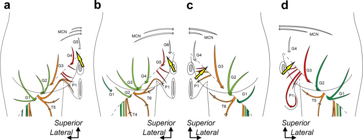 Fig. 4