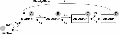 SCHEME I