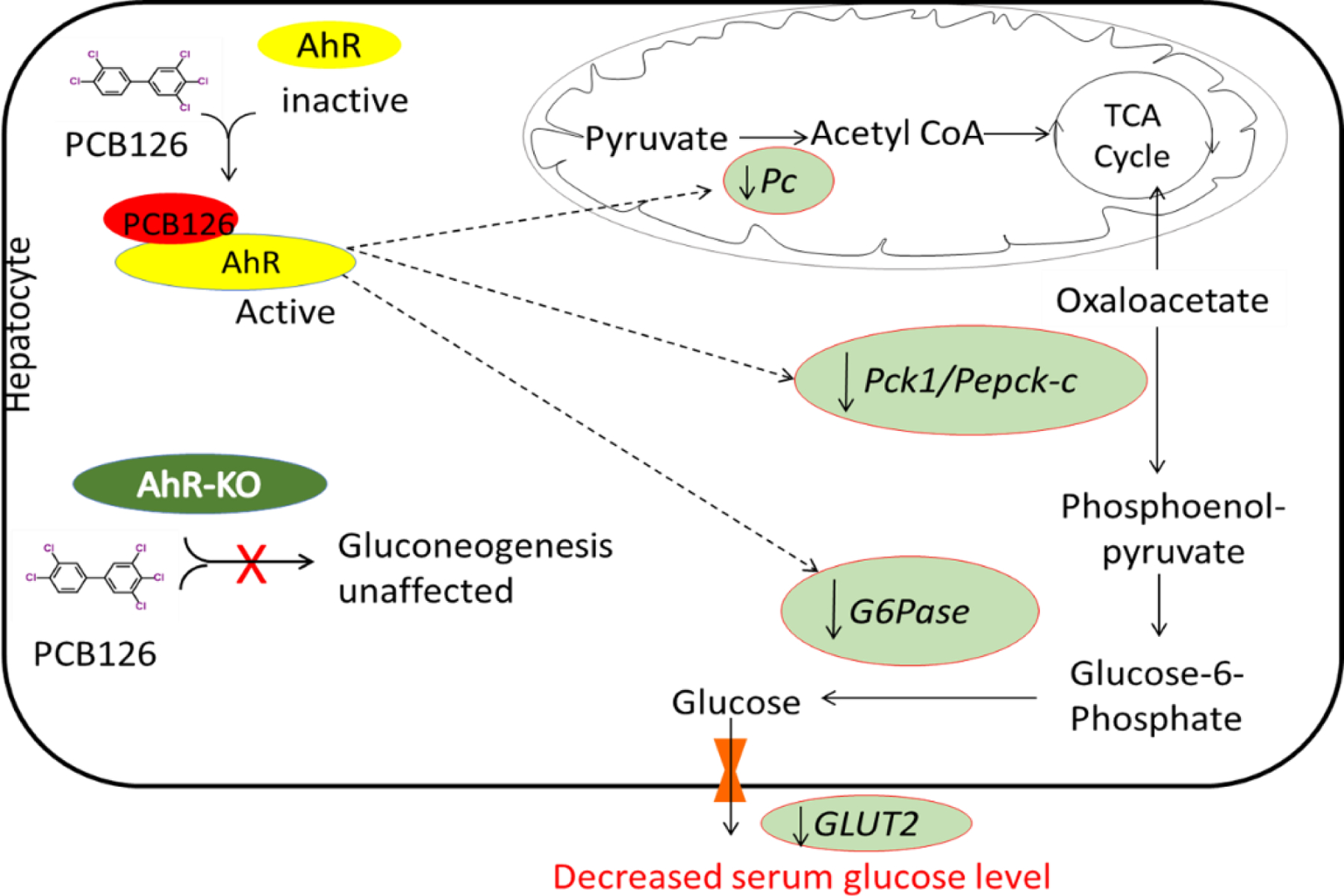 Fig-7