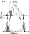 FIG. 8.