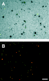 FIG. 6.